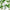 What Does Aloe Vera Do for Sensitive Skin? (Part 2)