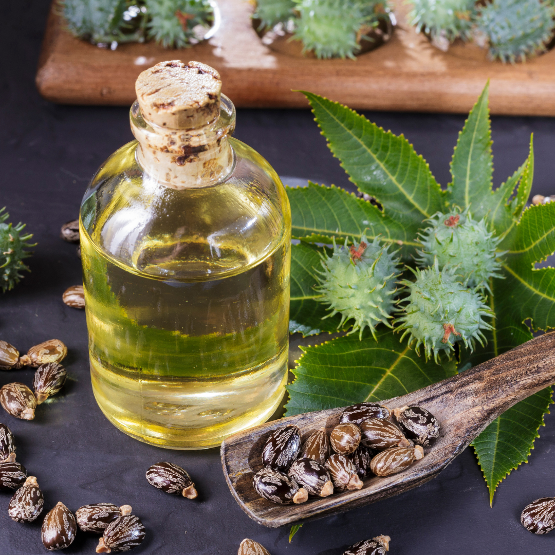 History of Jamaican Castor Oil and How We Use the Ingredient in our Products