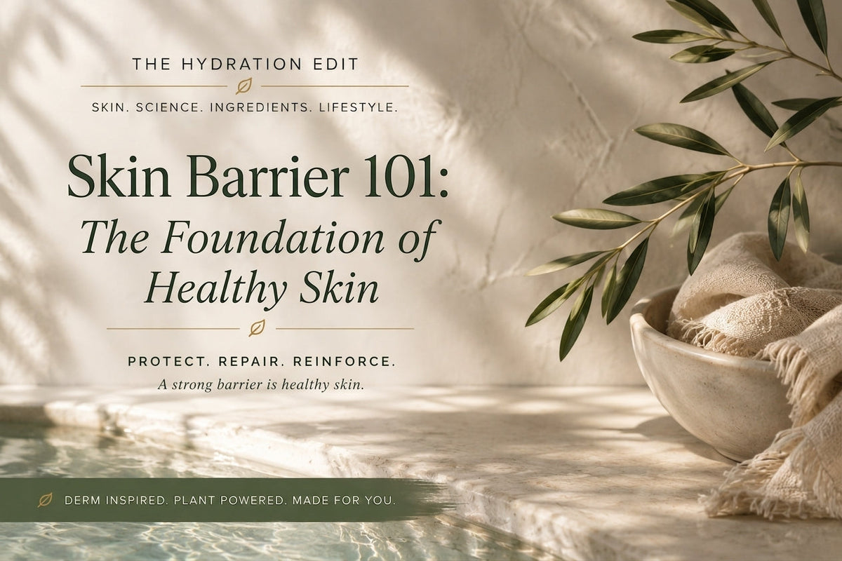 Skin Barrier 101: The Foundation of Healthy Skin