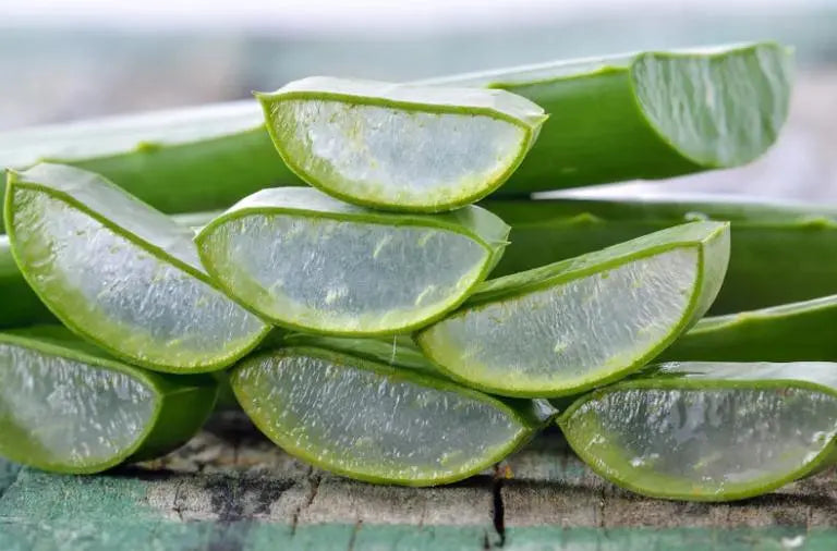 5-Benefits-of-Aloe-That-You-Should-Know-Now Urban Hydration