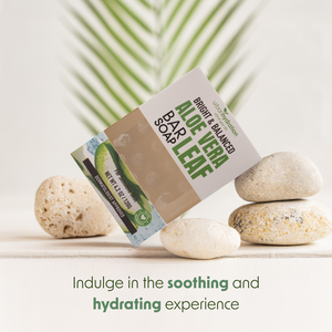 Urban Hydration Aloe Vera Leaf Face & Body Bar Soap