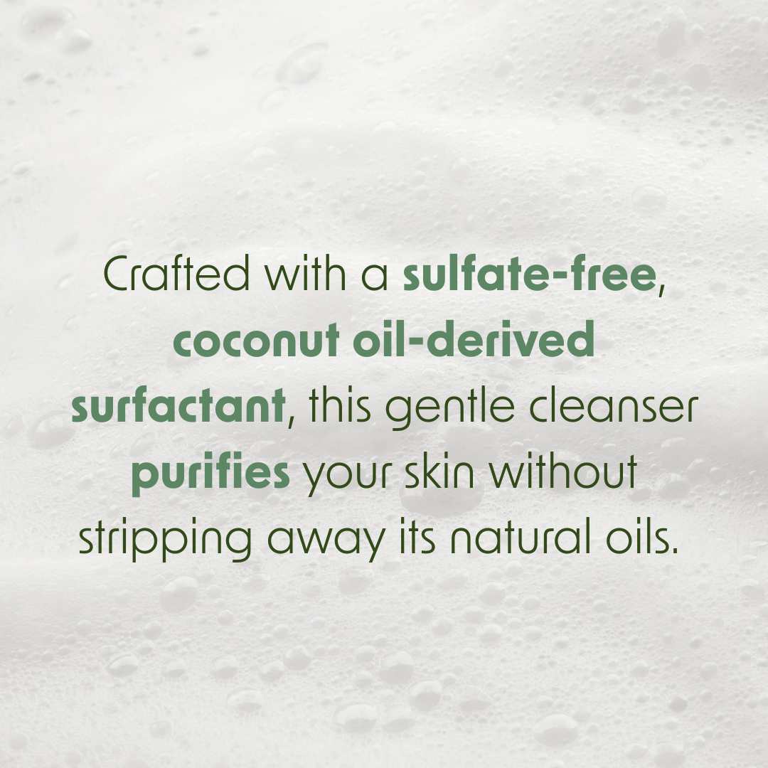 Aloe Vera Leaf Face & Body Bar Soap