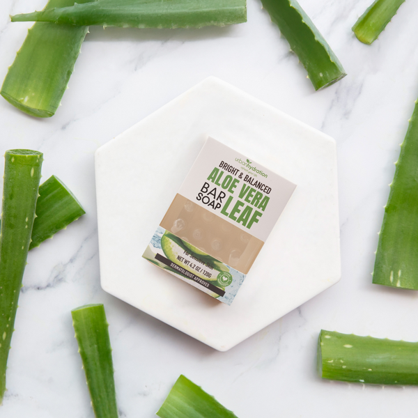 Urban Hydration Aloe Vera Leaf Face & Body Bar Soap - 6 Pack