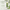 Urban Hydration Organic Aloe Vera Vegan Spearmint Lip Balm with SPF 15